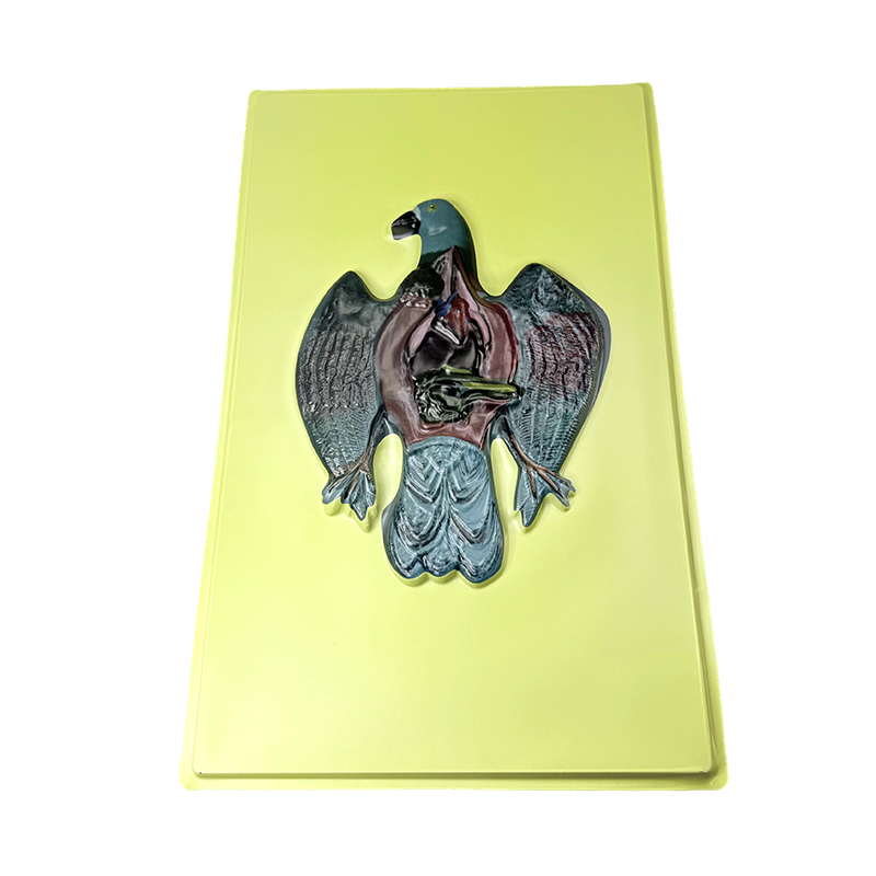 Modelo de alivio de paloma