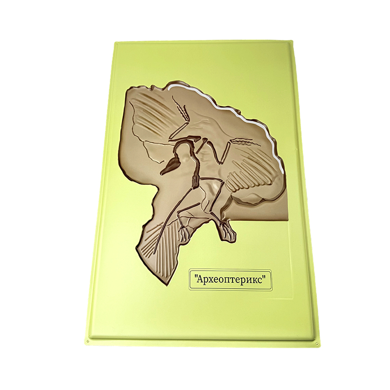 Modelo de ayuda de Archaeopteryx